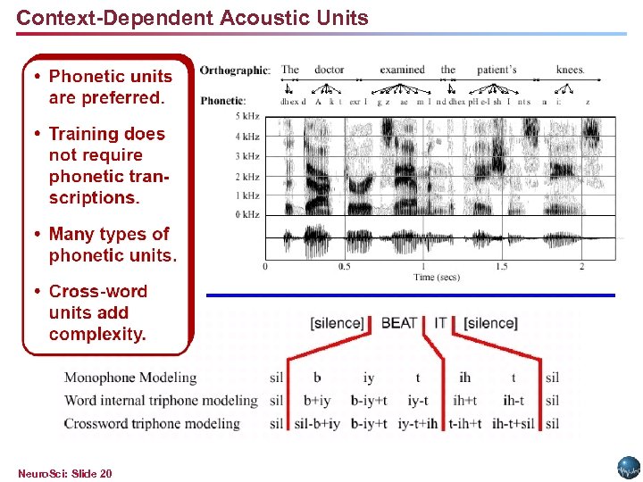Context-Dependent Acoustic Units Neuro. Sci: Slide 20 