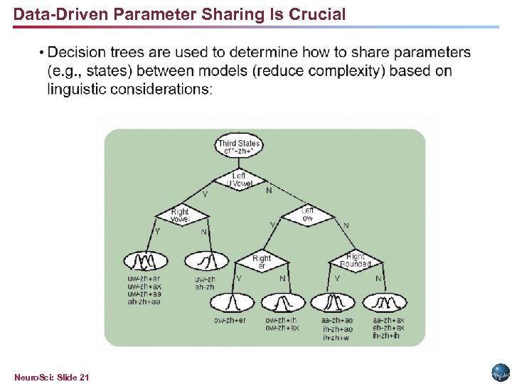 Data-Driven Parameter Sharing Is Crucial Neuro. Sci: Slide 21 