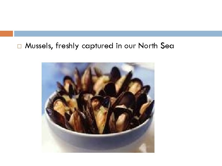  Mussels, freshly captured in our North Sea 