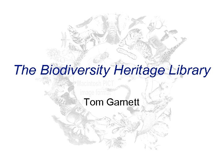 The Biodiversity Heritage Library Tom Garnett 