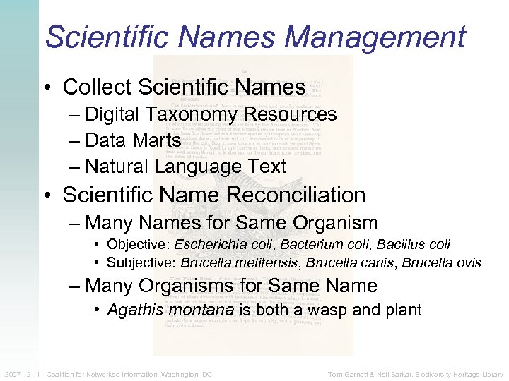 Scientific Names Management • Collect Scientific Names – Digital Taxonomy Resources – Data Marts