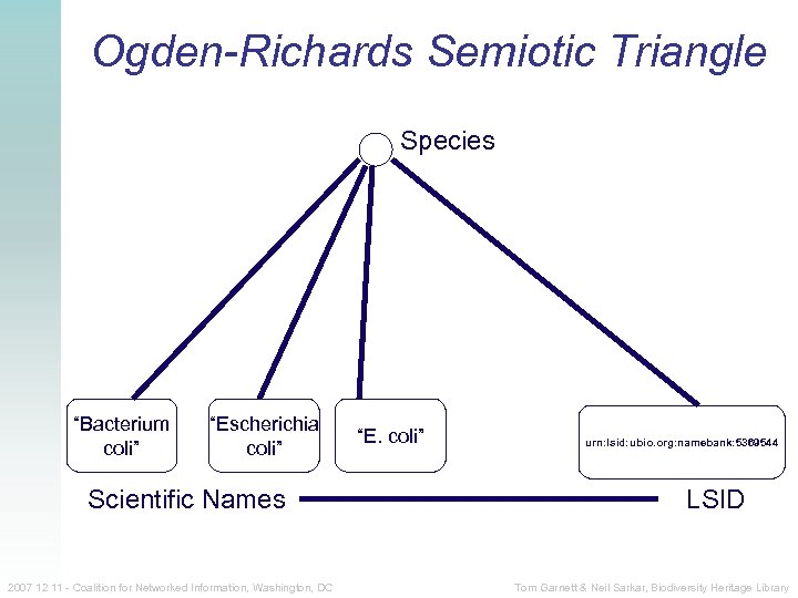 Ogden-Richards Semiotic Triangle Species “Bacterium coli” “Escherichia coli” Scientific Names 2007 12 11 -