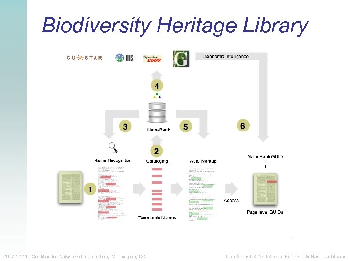 Biodiversity Heritage Library 2007 12 11 - Coalition for Networked Information, Washington, DC Tom