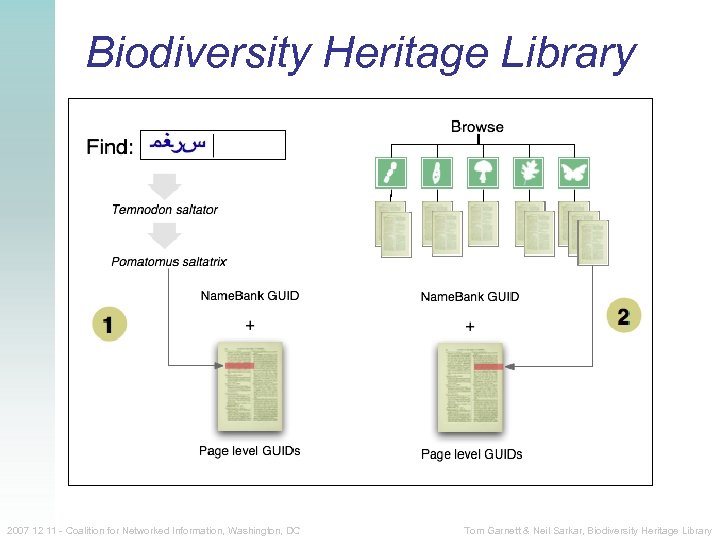 Biodiversity Heritage Library 2007 12 11 - Coalition for Networked Information, Washington, DC Tom