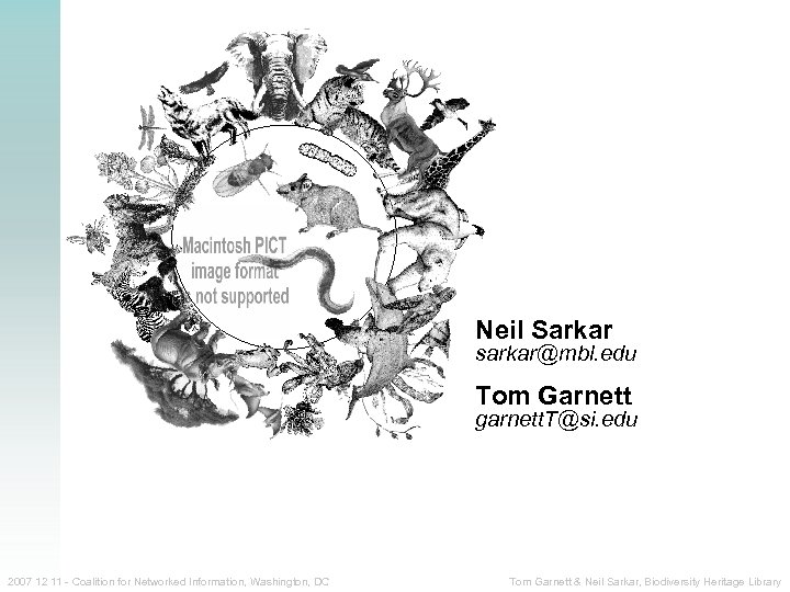 Neil Sarkar sarkar@mbl. edu Tom Garnett garnett. T@si. edu 2007 12 11 - Coalition