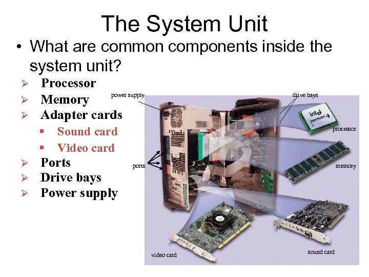 The System Unit • What are common components inside the system unit? Ø Ø