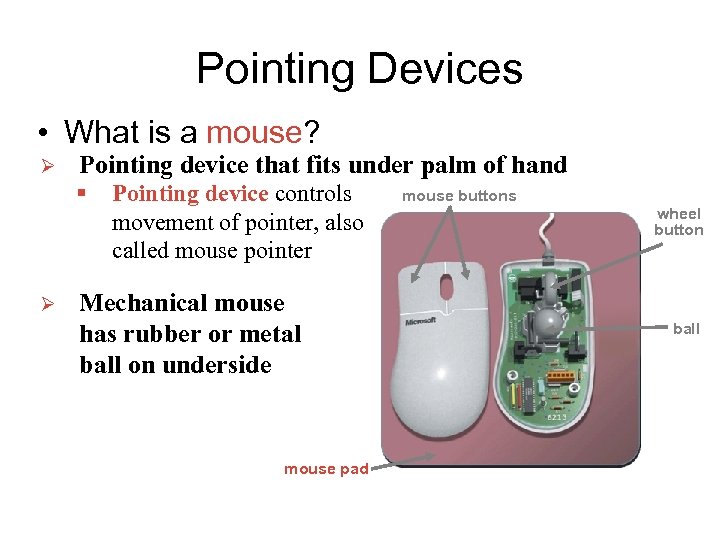 Pointing Devices • What is a mouse? Ø Pointing device that fits under palm