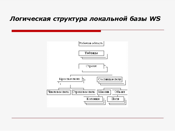 Логическая структура локальной базы WS 