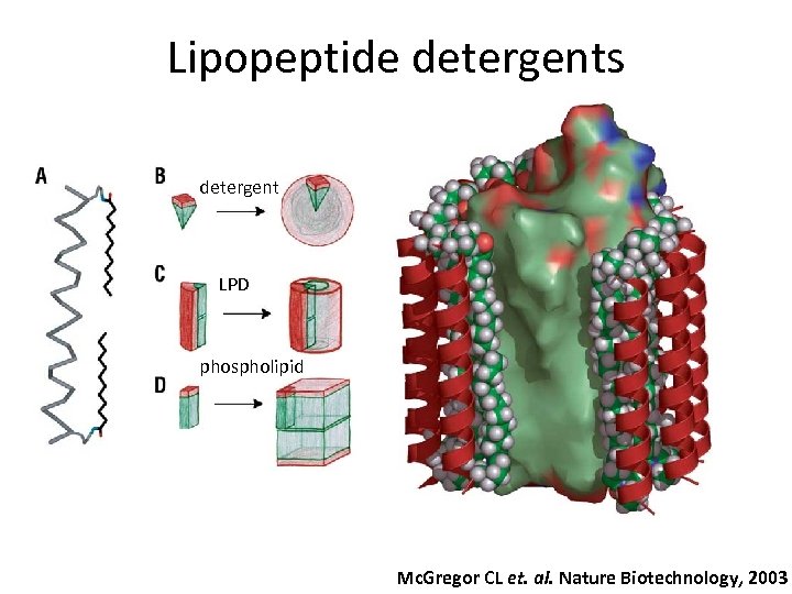 Lipopeptide detergents detergent LPD phospholipid Mc. Gregor CL et. al. Nature Biotechnology, 2003 