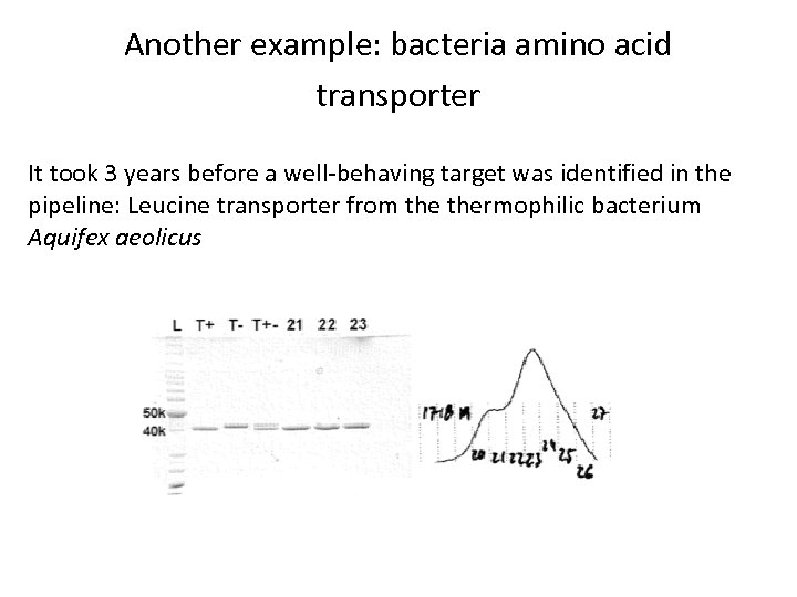 Another example: bacteria amino acid transporter It took 3 years before a well-behaving target