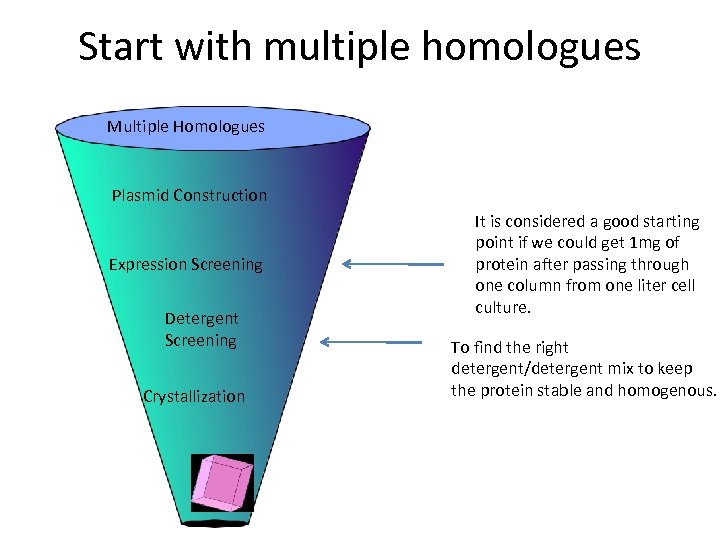 Start with multiple homologues Multiple Homologues Plasmid Construction Expression Screening Detergent Screening Crystallization It