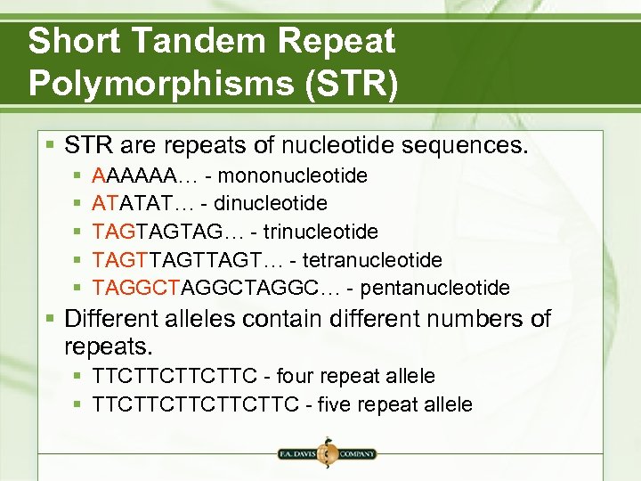 Short Tandem Repeat Polymorphisms (STR) § STR are repeats of nucleotide sequences. § §