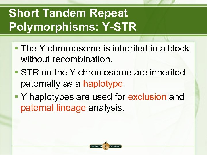 Short Tandem Repeat Polymorphisms: Y-STR § The Y chromosome is inherited in a block