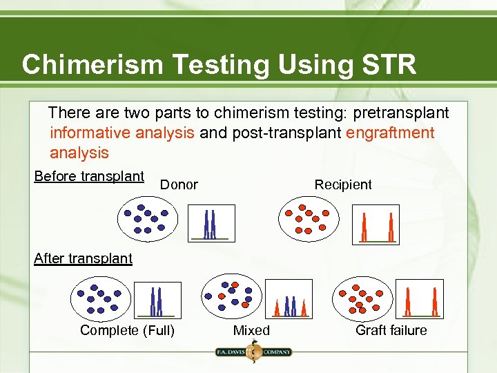 Chimerism Testing Using STR There are two parts to chimerism testing: pretransplant informative analysis