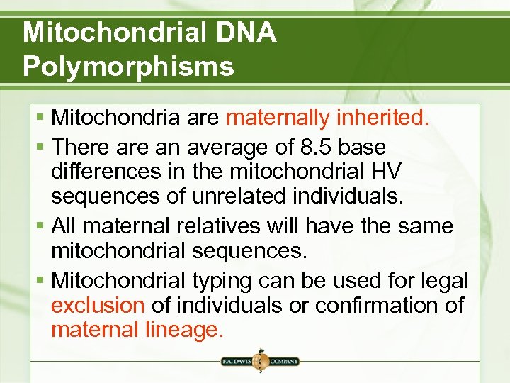 Mitochondrial DNA Polymorphisms § Mitochondria are maternally inherited. § There an average of 8.