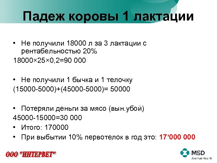 Падеж коровы 1 лактации • Не получили 18000 л за 3 лактации с рентабельностью
