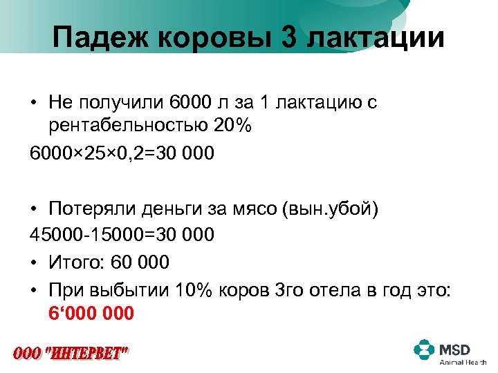 Падеж коровы 3 лактации • Не получили 6000 л за 1 лактацию с рентабельностью