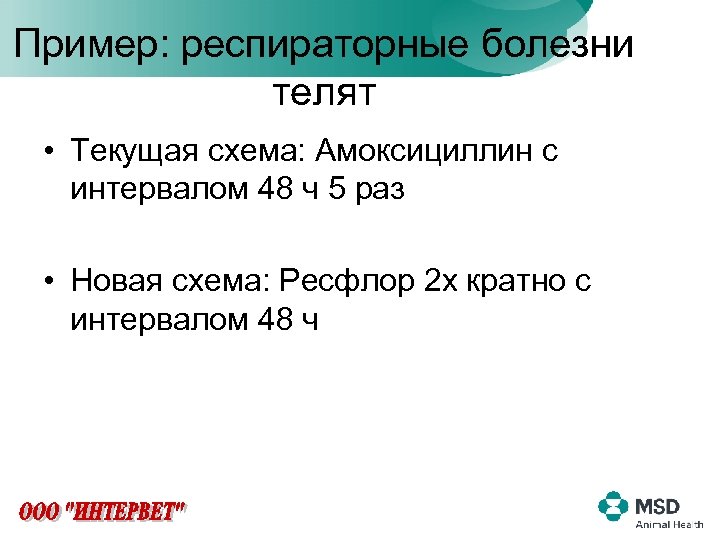 Пример: респираторные болезни телят • Текущая схема: Амоксициллин с интервалом 48 ч 5 раз