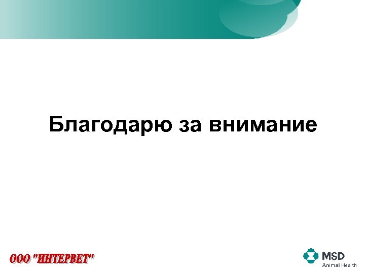 Благодарю за внимание 