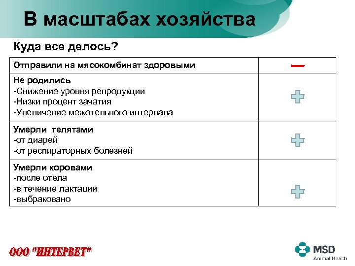 В масштабах хозяйства Куда все делось? Отправили на мясокомбинат здоровыми • Отсутствие прибыли Не