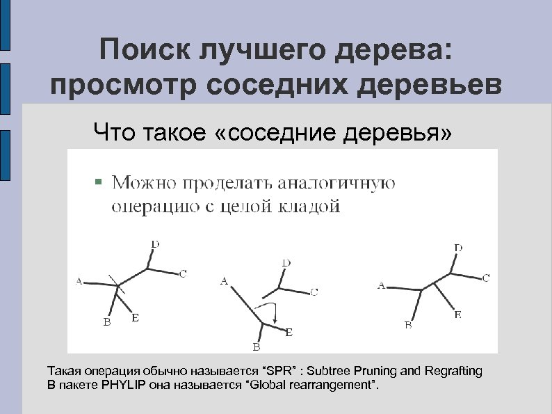 Поиск лучшего дерева: просмотр соседних деревьев Что такое «соседние деревья» Такая операция обычно называется