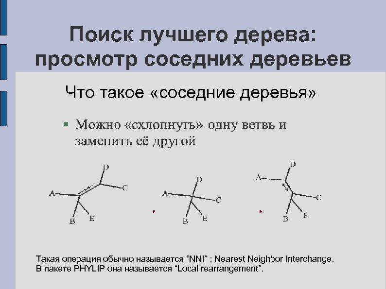 Поиск лучшего дерева: просмотр соседних деревьев Что такое «соседние деревья» Такая операция обычно называется