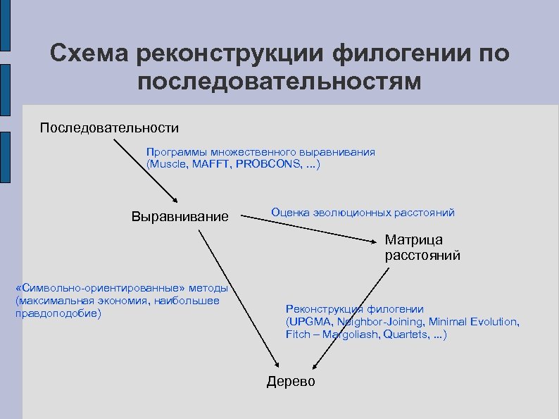 Схема реконструкции филогении по последовательностям Последовательности Программы множественного выравнивания (Muscle, MAFFT, PROBCONS, . .