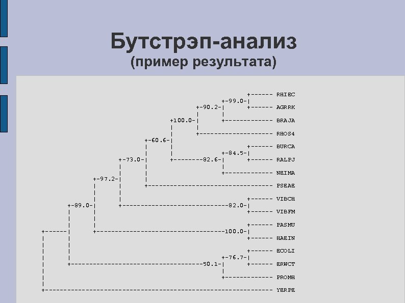 Бутстрэп-анализ (пример результата) +-----+-99. 0 -| +-90. 2 -| +-----| | +100. 0 -|