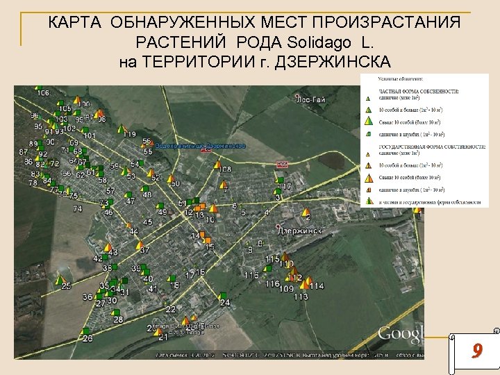 КАРТА ОБНАРУЖЕННЫХ МЕСТ ПРОИЗРАСТАНИЯ РАСТЕНИЙ РОДА Solidago L. на ТЕРРИТОРИИ г. ДЗЕРЖИНСКА 9 