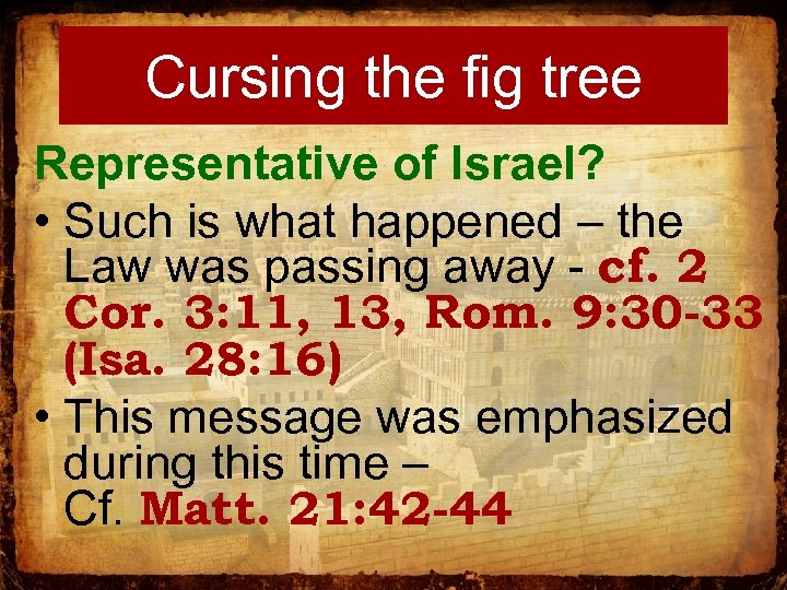 Cursing the fig tree Representative of Israel? • Such is what happened – the