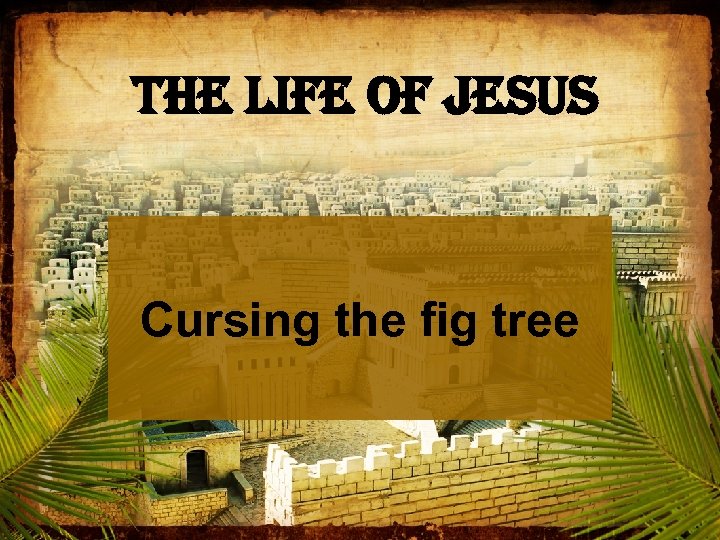 The Life of Jesus Cursing the fig tree 