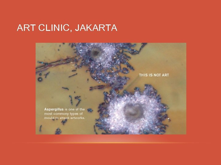 ART CLINIC, JAKARTA 