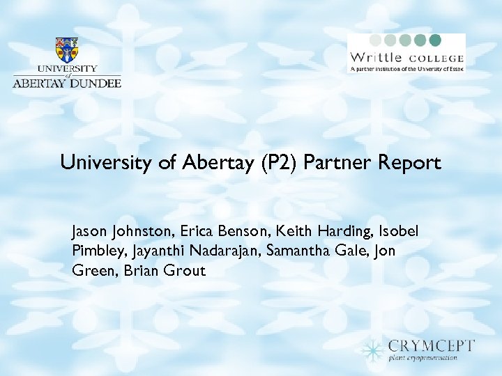 University of Abertay (P 2) Partner Report Jason Johnston, Erica Benson, Keith Harding, Isobel