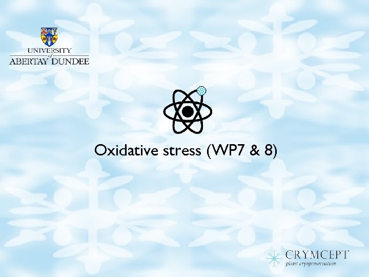 Oxidative stress (WP 7 & 8) 