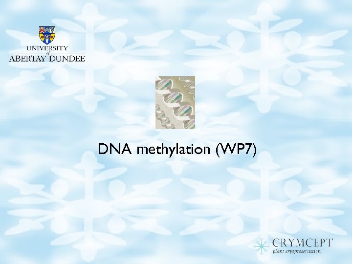 DNA methylation (WP 7) 