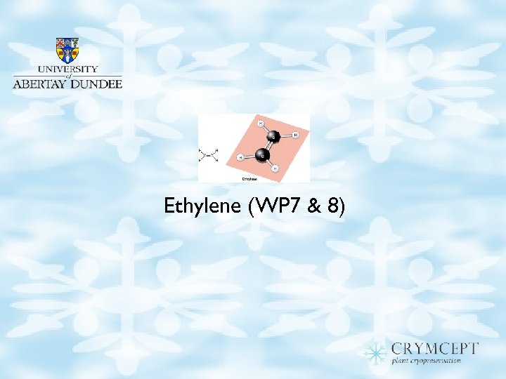 Ethylene (WP 7 & 8) 