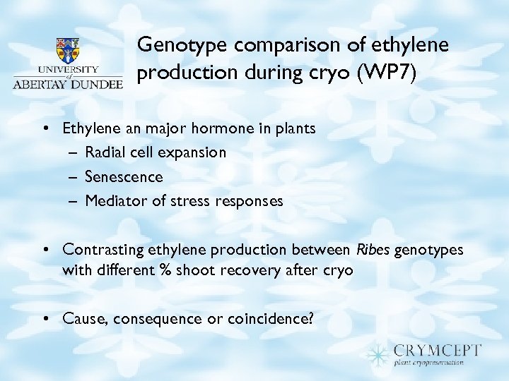 Genotype comparison of ethylene production during cryo (WP 7) • Ethylene an major hormone
