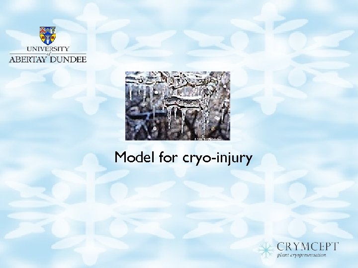 Model for cryo-injury 