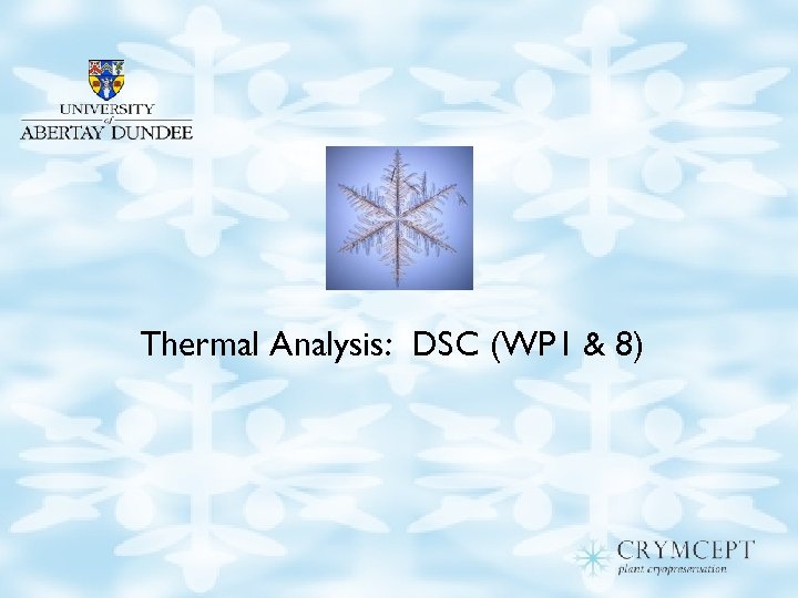 Thermal Analysis: DSC (WP 1 & 8) 