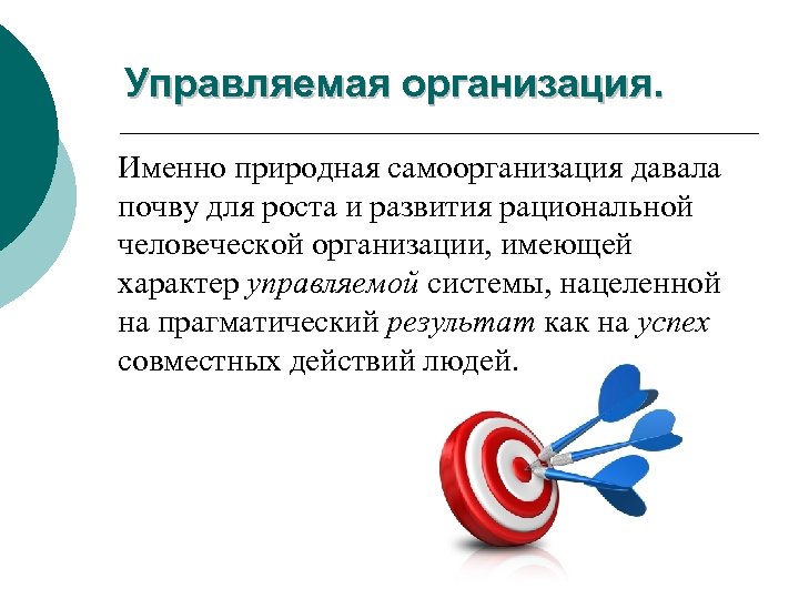 Управляемая организация. Именно природная самоорганизация давала почву для роста и развития рациональной человеческой организации,