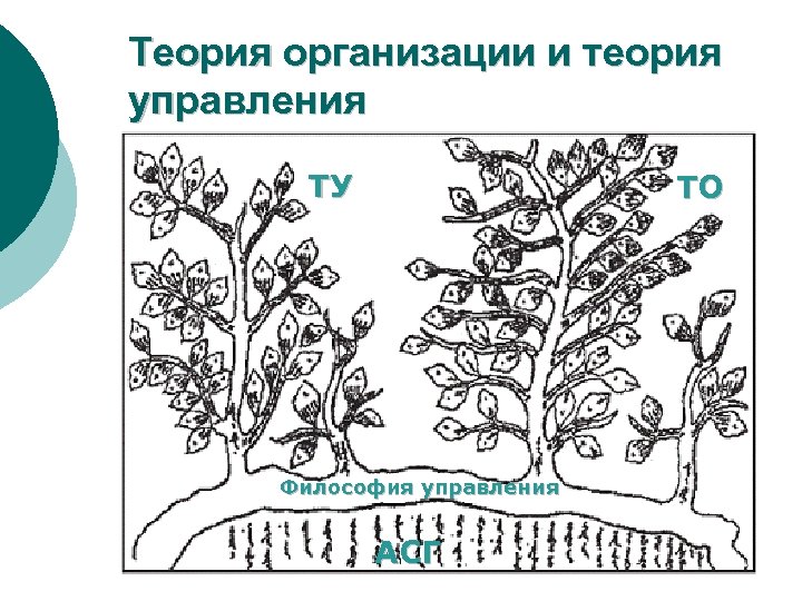 Теория организации и теория управления ТУ ТО Философия управления АСГ 