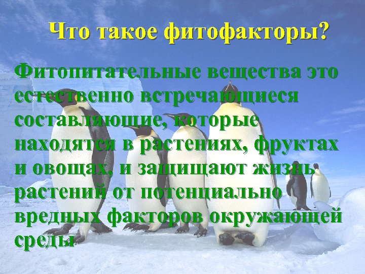 Что такое фитофакторы? Фитопитательные вещества это естественно встречающиеся составляющие, которые находятся в растениях, фруктах