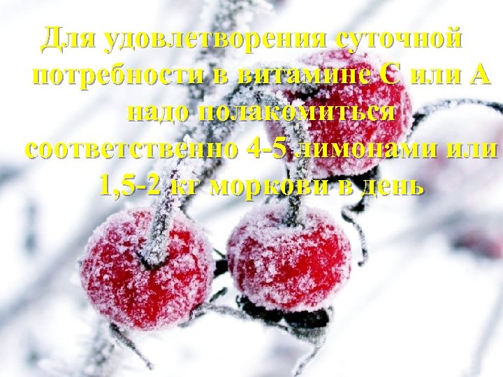Для удовлетворения суточной потребности в витамине С или А надо полакомиться соответственно 4 -5