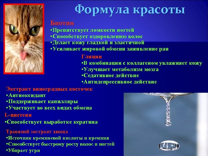 Формула красоты Биотин • Препятствует ломкости ногтей • Способствует оздоровлению волос • Делает кожу