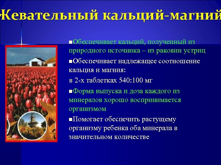 Жевательный кальций-магний n. Обеспечивает кальций, полученный из природного источника – из раковин устриц n.