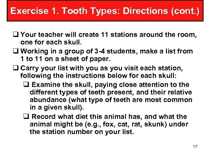 Exercise 1. Tooth Types: Directions (cont. ) q Your teacher will create 11 stations