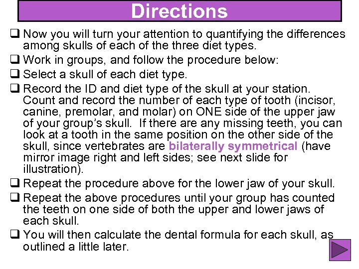 Directions q Now you will turn your attention to quantifying the differences among skulls