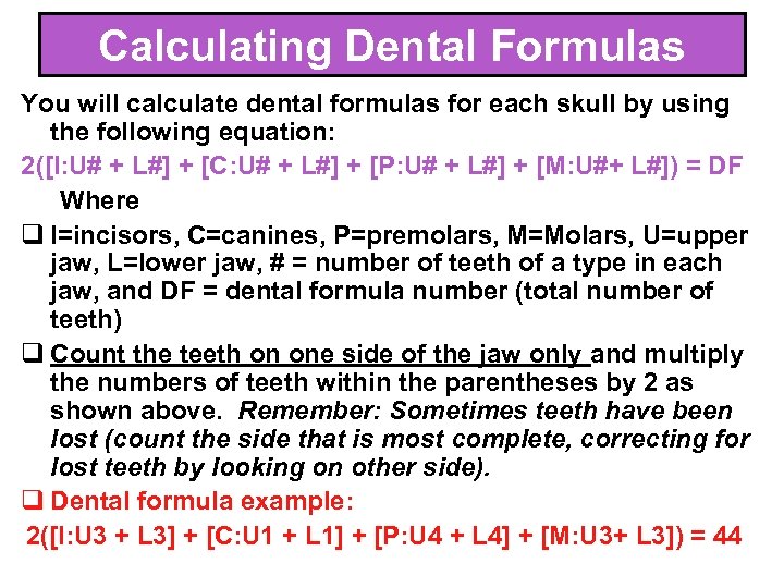 Calculating Dental Formulas You will calculate dental formulas for each skull by using the