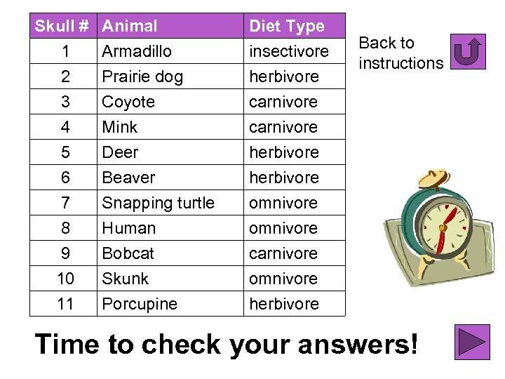 Skull # 1 2 3 4 5 6 7 8 9 10 11 Animal