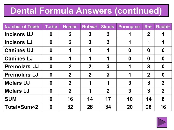 Dental Formula Answers (continued) Number of Teeth Turtle Human Bobcat Skunk Porcupine Rat Rabbit